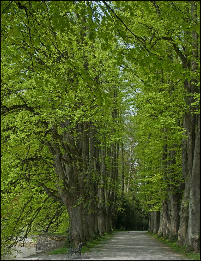 Der Weg ist das Ziel