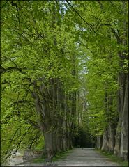 Der Weg ist das Ziel