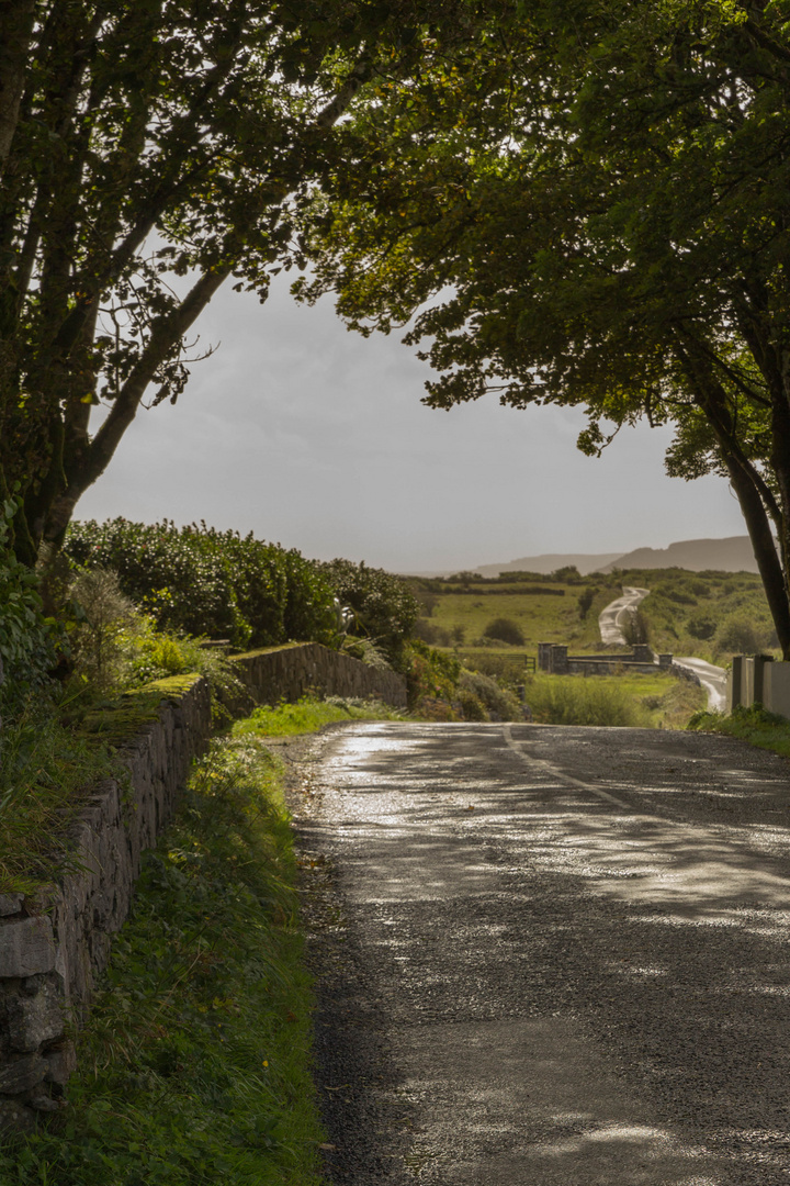 Der Weg ist das Ziel