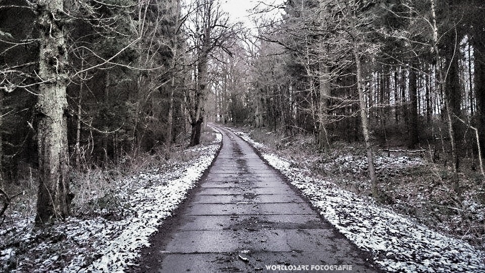 der Weg ist das Ziel