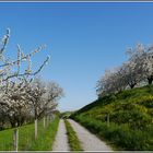 der Weg ist das Ziel