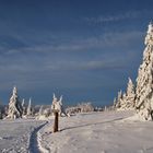 Der Weg ist das Ziel