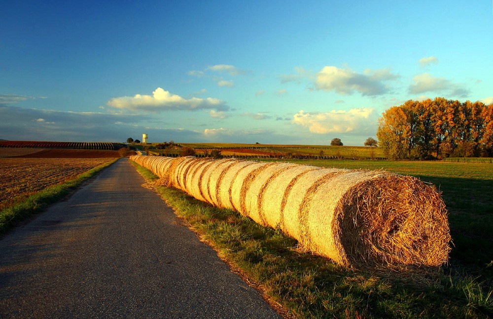 Der Weg ist das Ziel