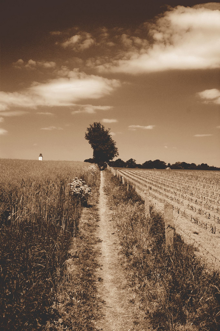 Der Weg ist das Ziel