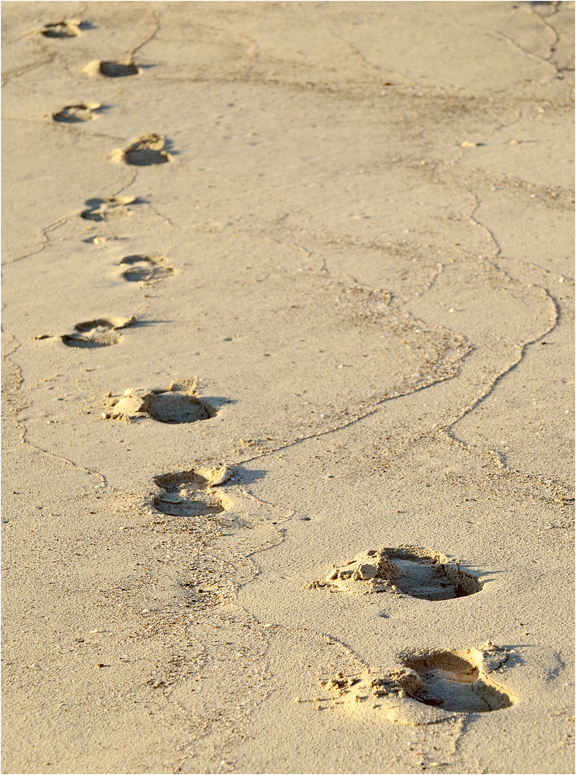 Der Weg ist das Ziel