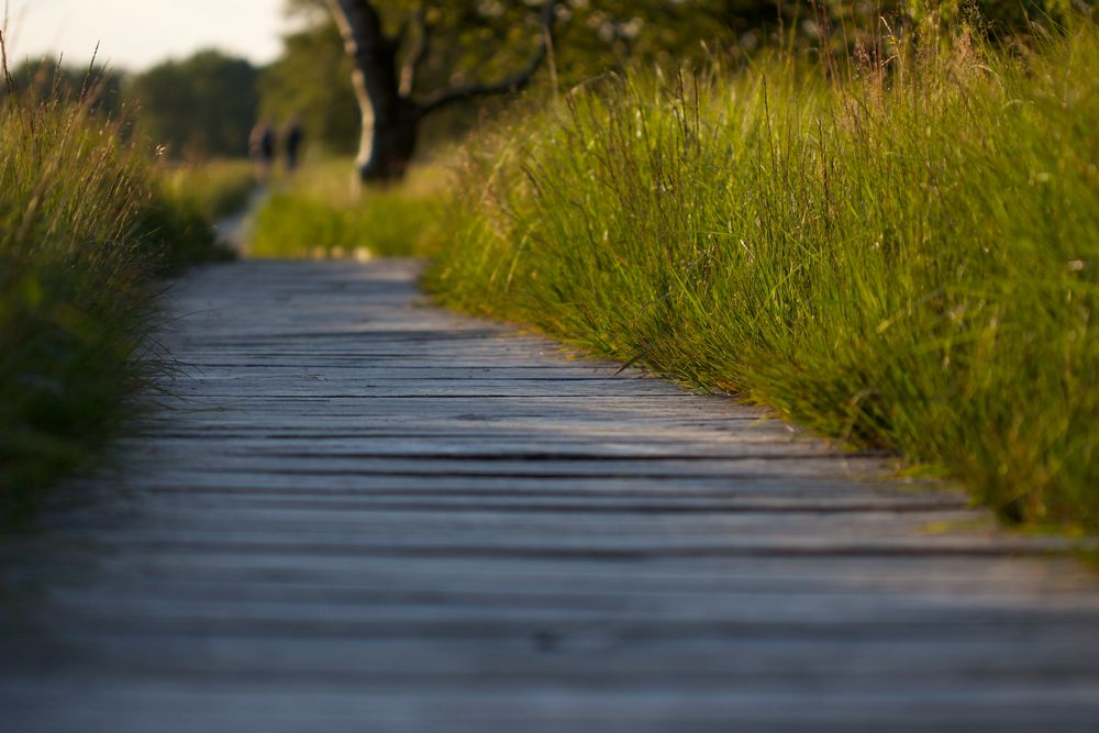 Der Weg ist das Ziel von Sandra Warmbrunn 