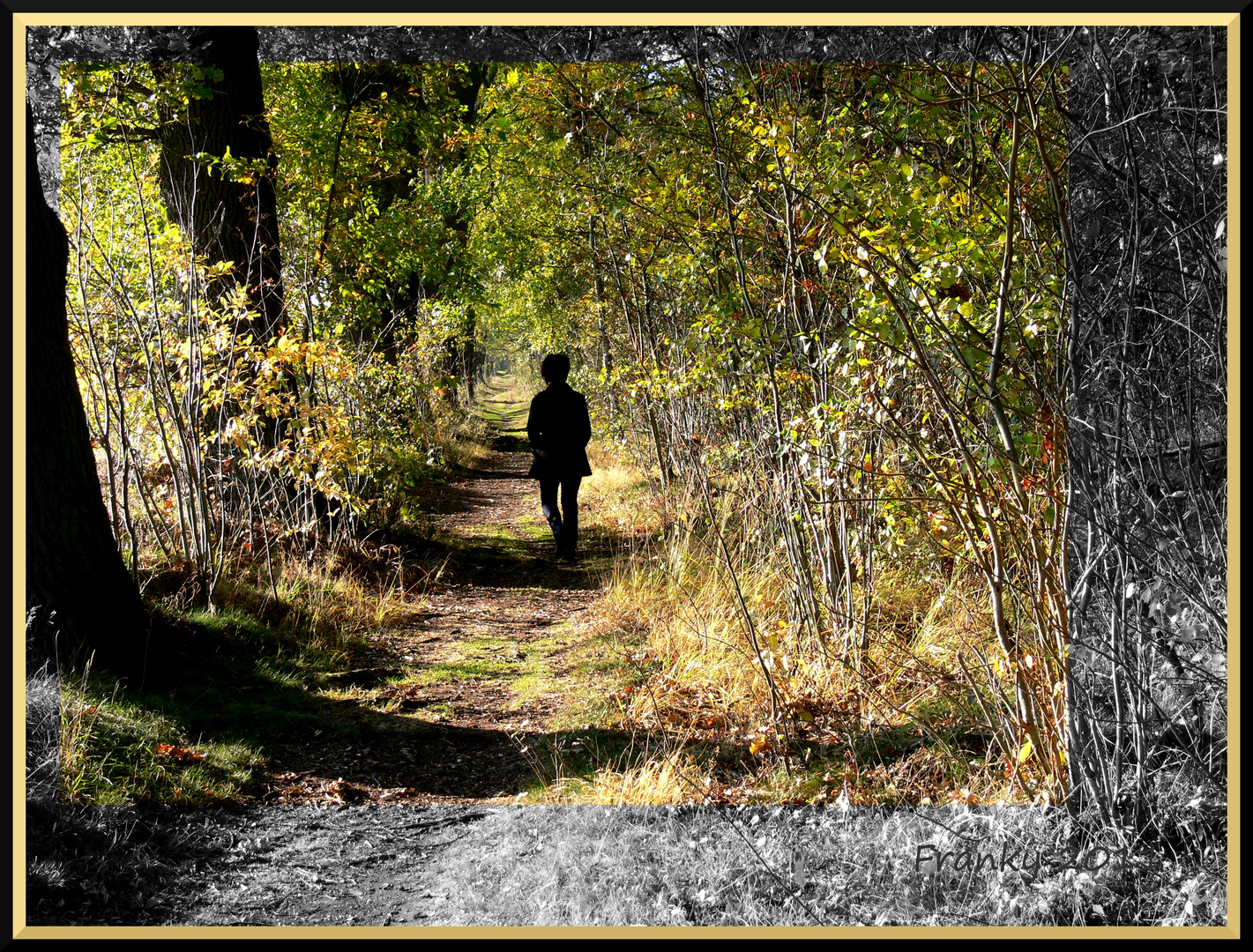 Der Weg ist das Ziel