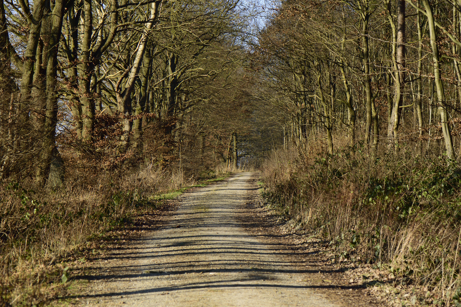 Der Weg ist das Ziel