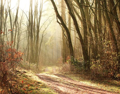 Der Weg ist das Ziel