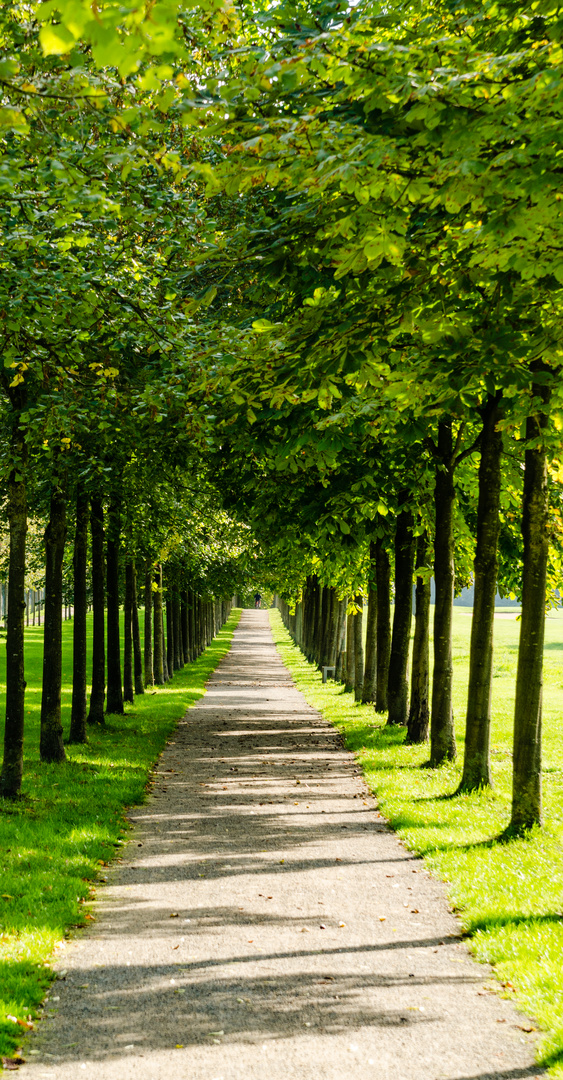 Der Weg ist das Ziel