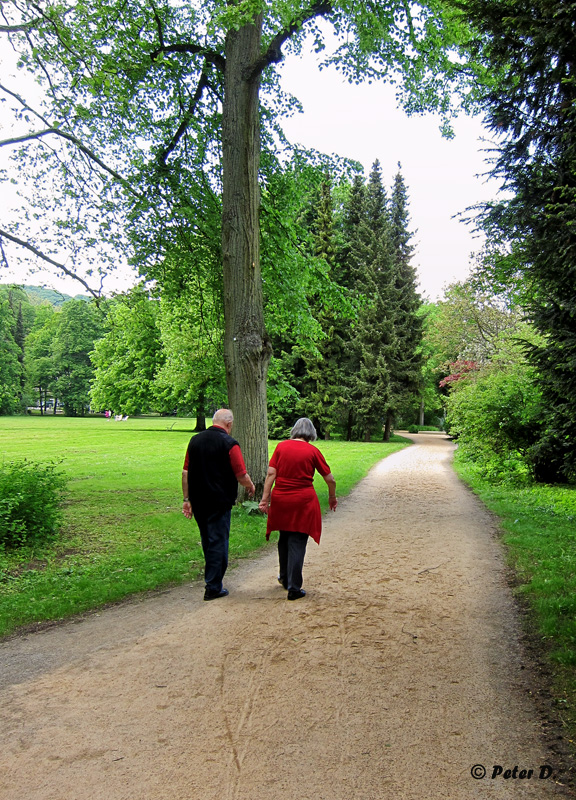 Der Weg ist das Ziel