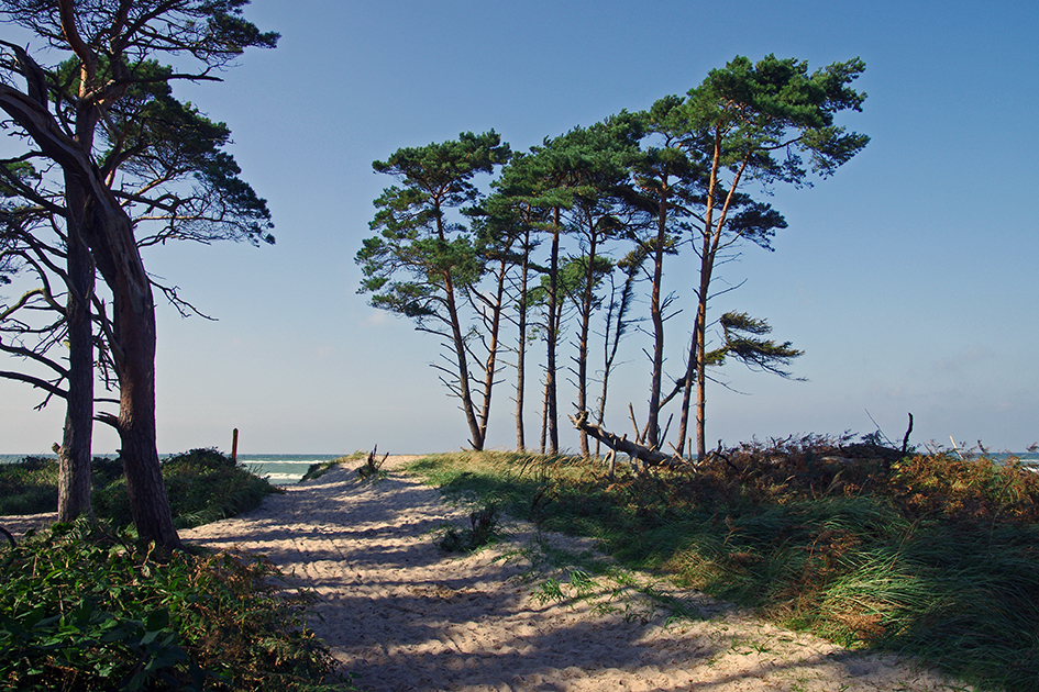 der weg ist das ziel