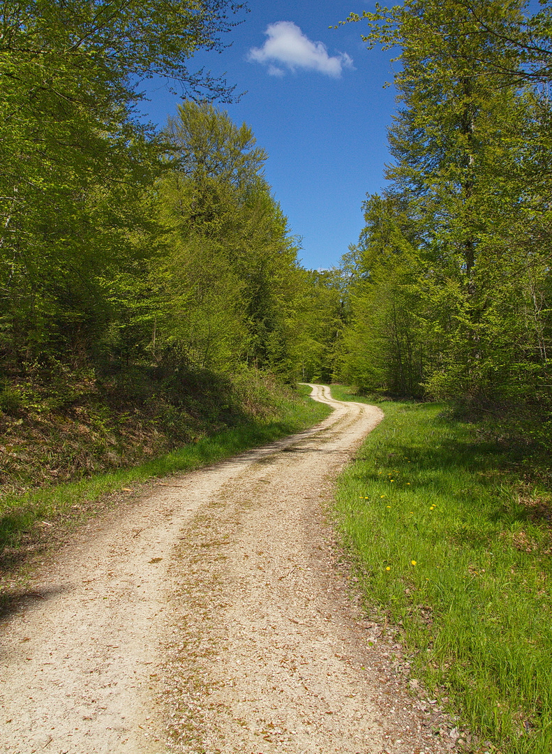 Der Weg ist das Ziel.......