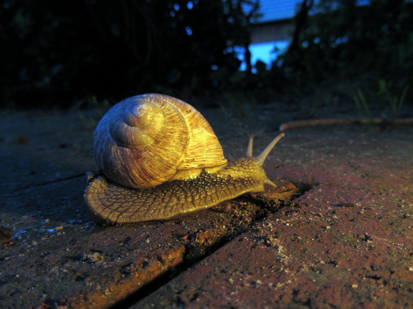 Der Weg ist das Ziel - aber was ist das Ziel ...