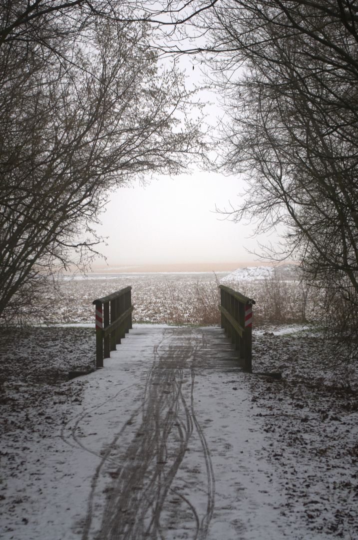 Der Weg ist das Ziel( aber welches)?