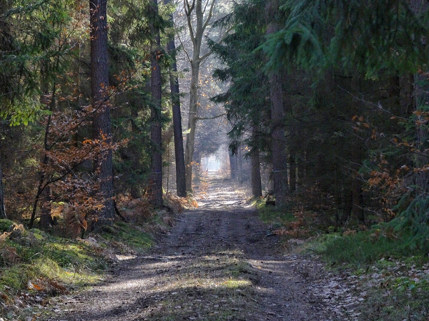 Der Weg ist das Ziel