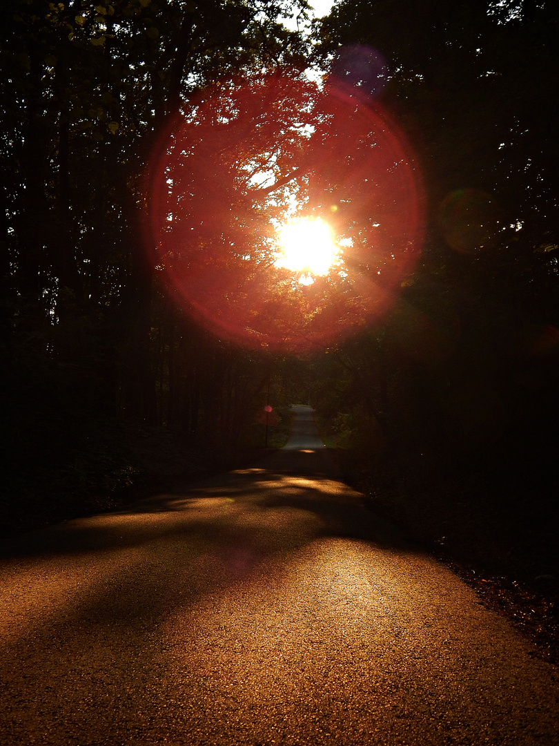 Der Weg ist das Ziel...