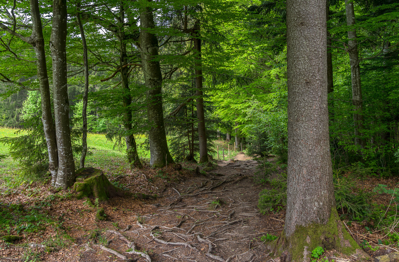 Der Weg ist das Ziel