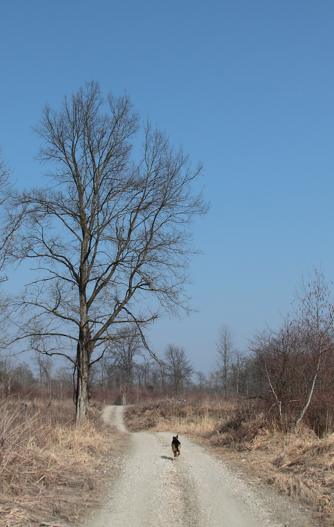 Der Weg ist das Ziel auch im Winter...