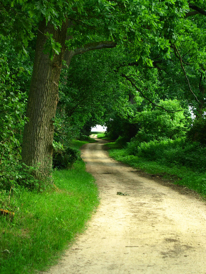 Der Weg ist das Ziel...