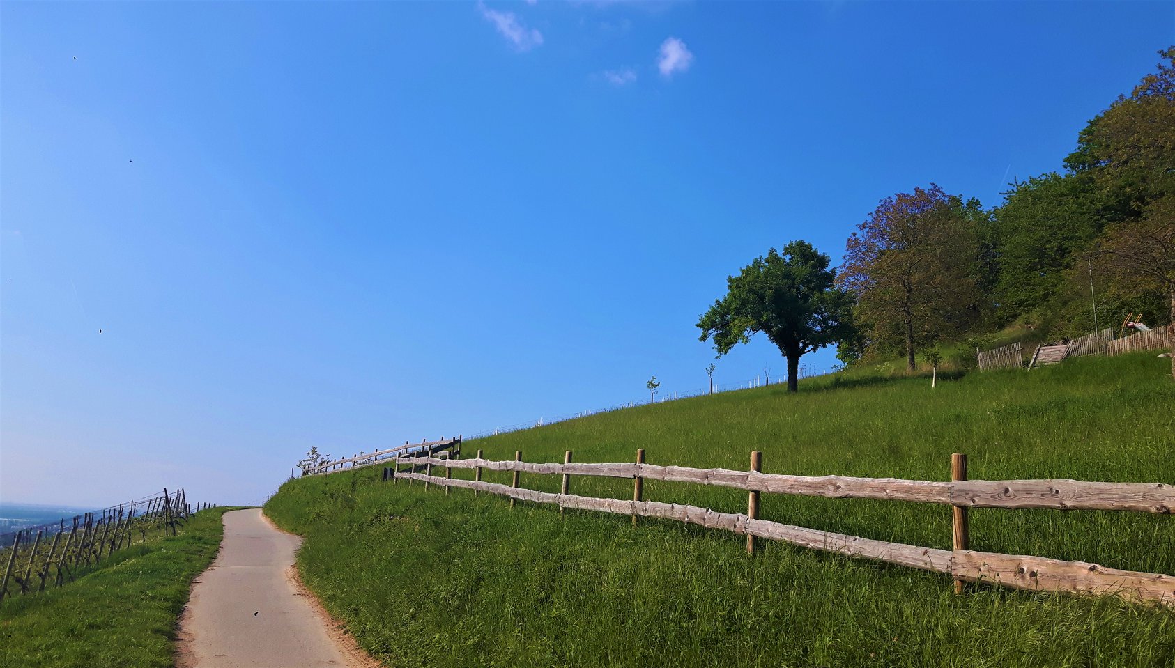 Der Weg ist das Ziel