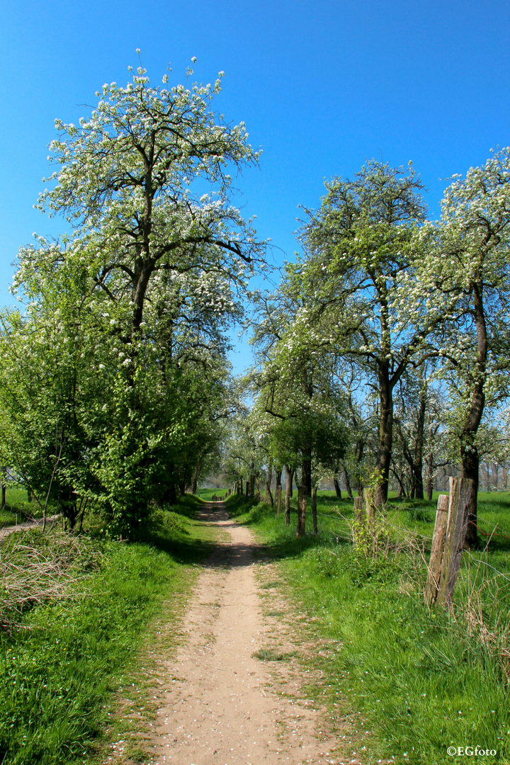 »Der Weg ist das Ziel«