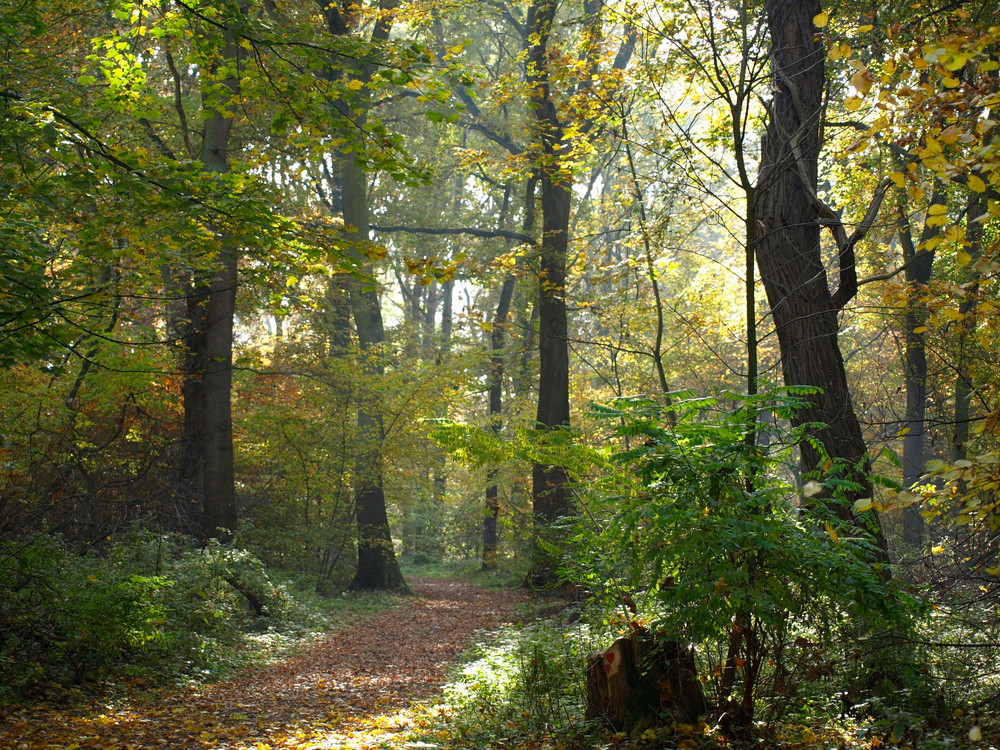 Der Weg ist das Ziel.