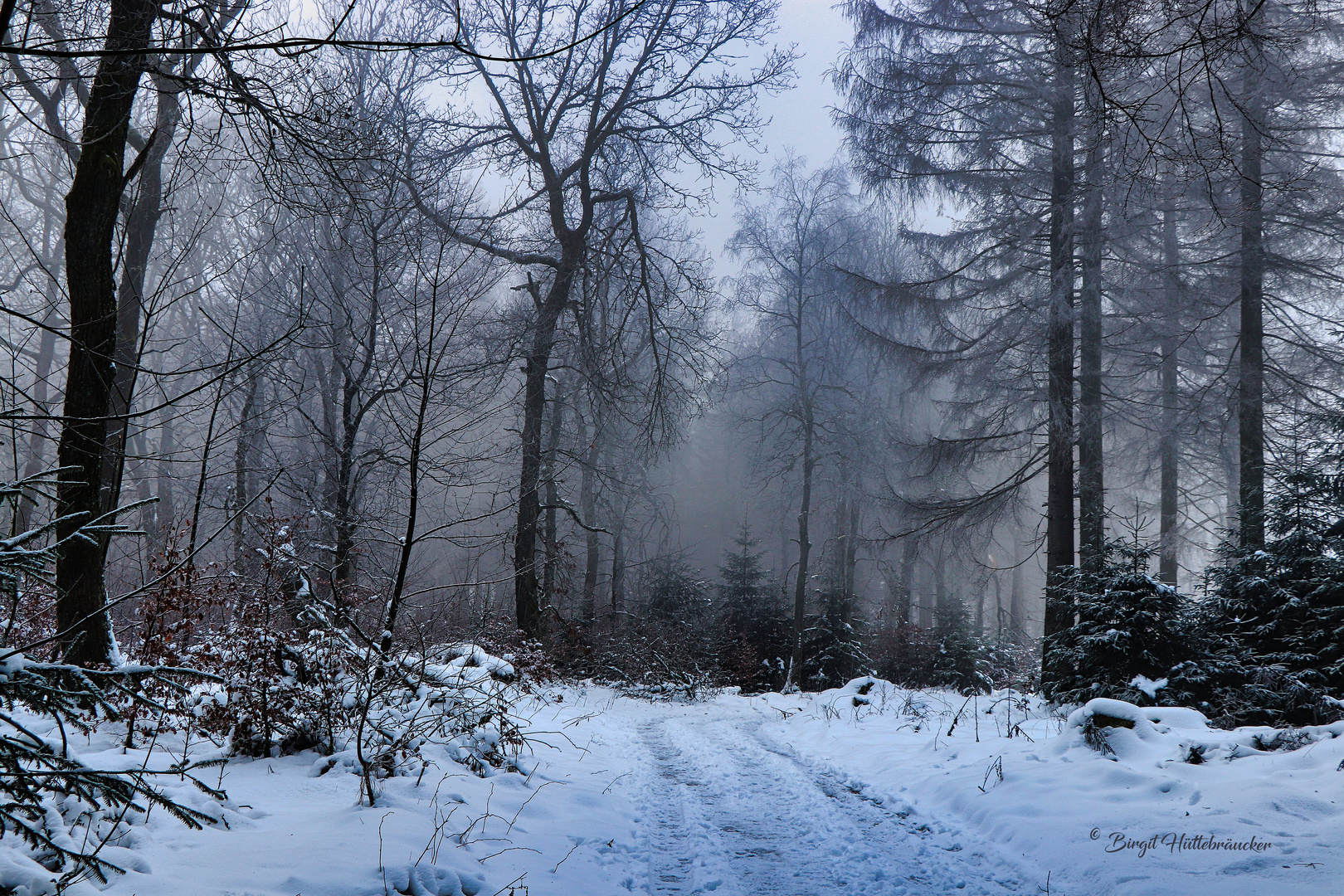 der Weg ist das Ziel