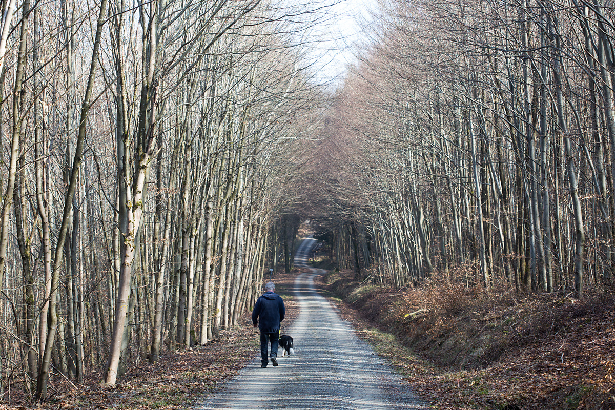 der Weg ist das Ziel