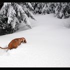 der weg ist das ziel