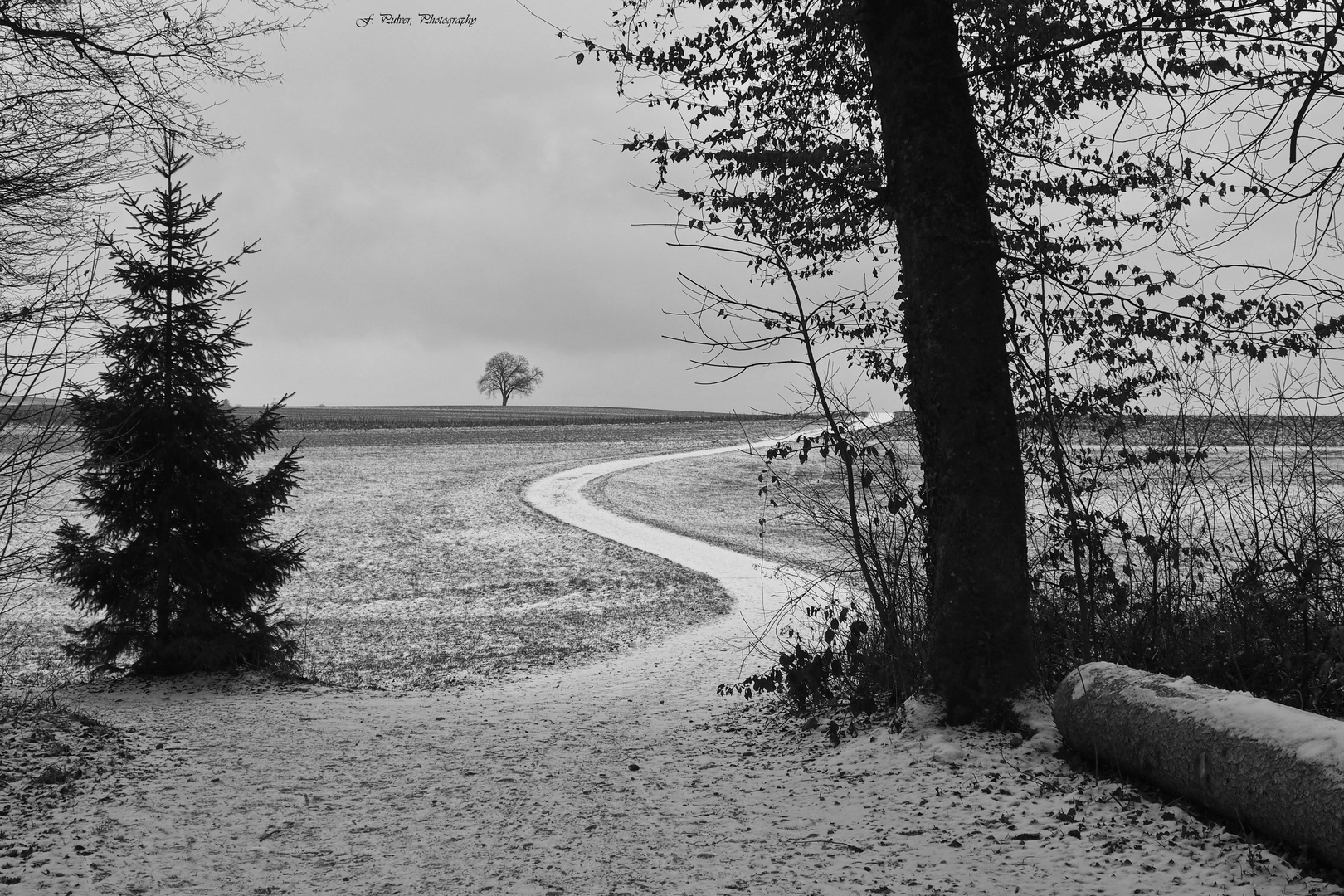 Der Weg ist das Ziel 