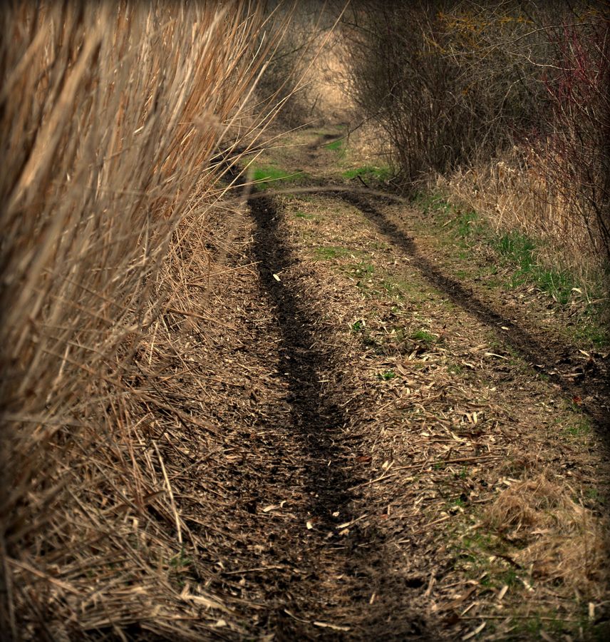 Der Weg ist das Ziel.