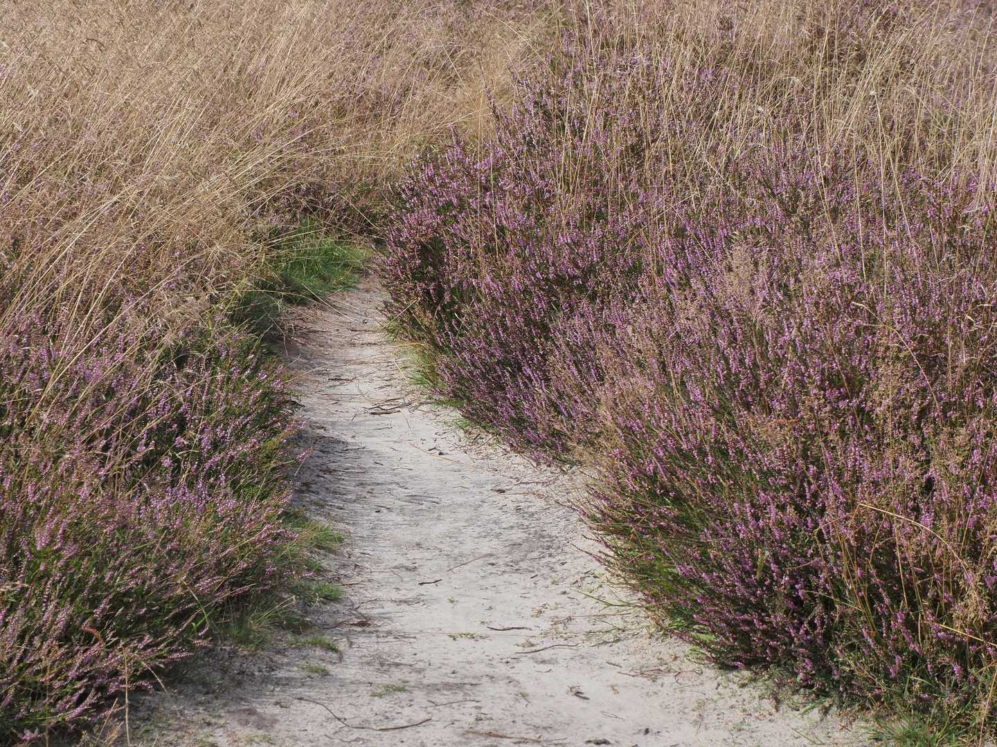 der Weg ist das Ziel