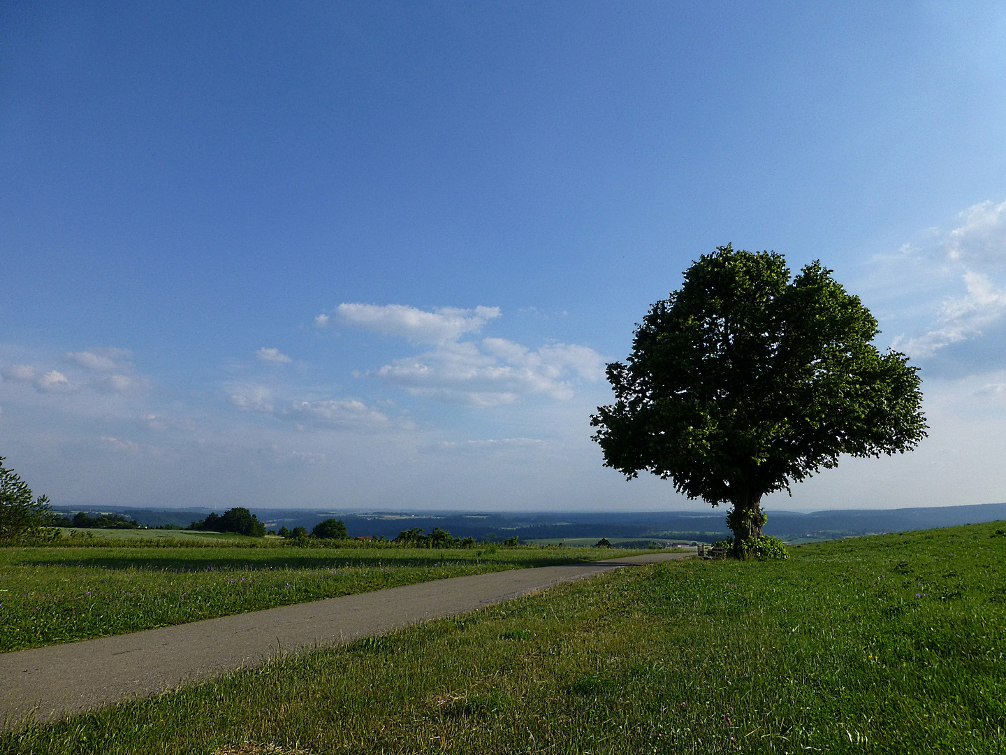 Der Weg ist das Ziel ...