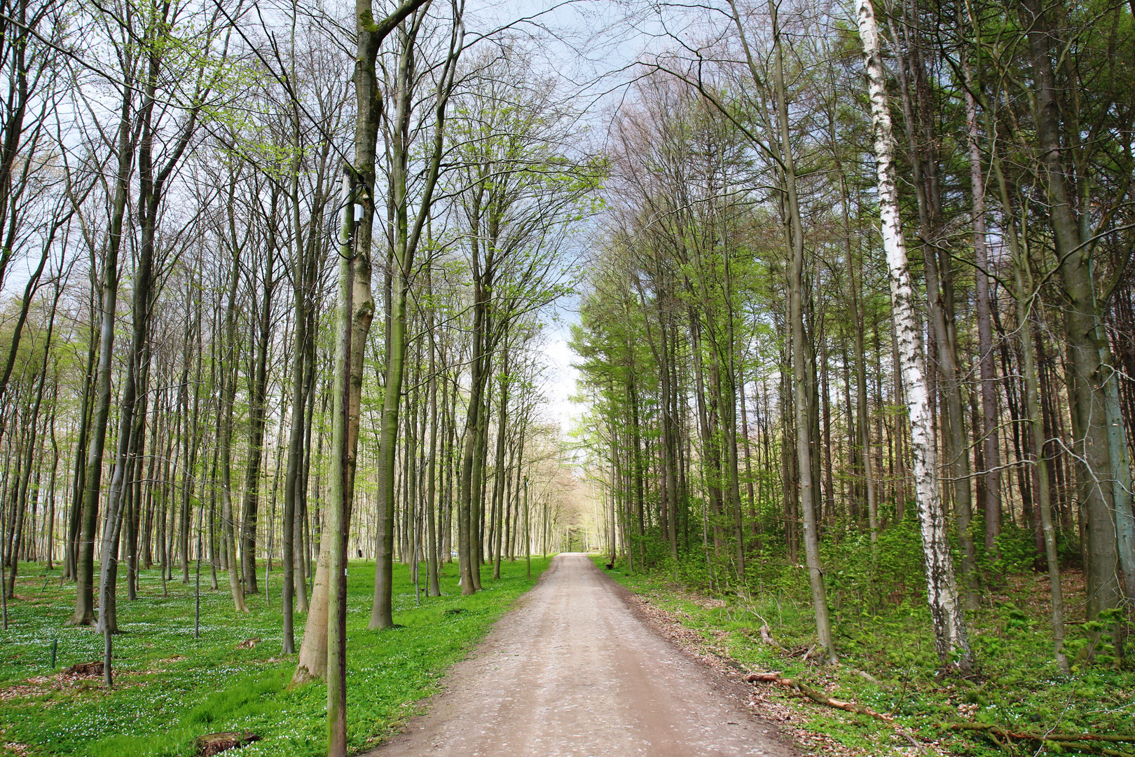 Der Weg ist das Ziel