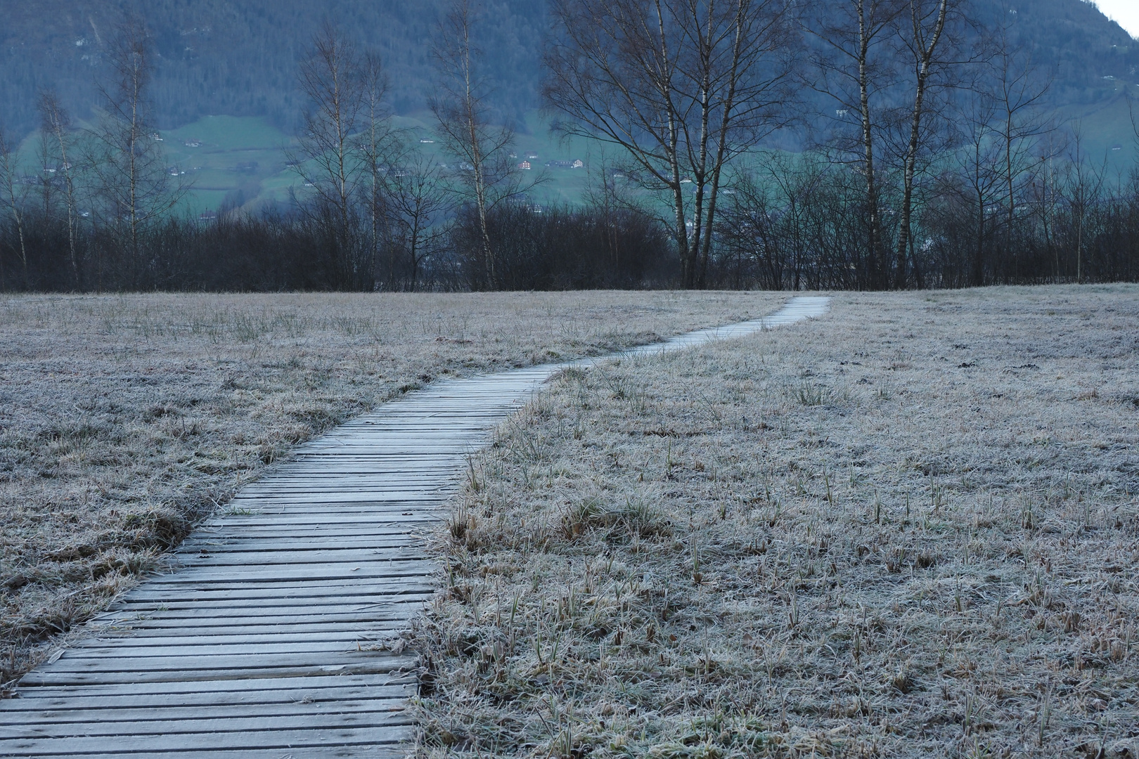 der weg ist das ziel