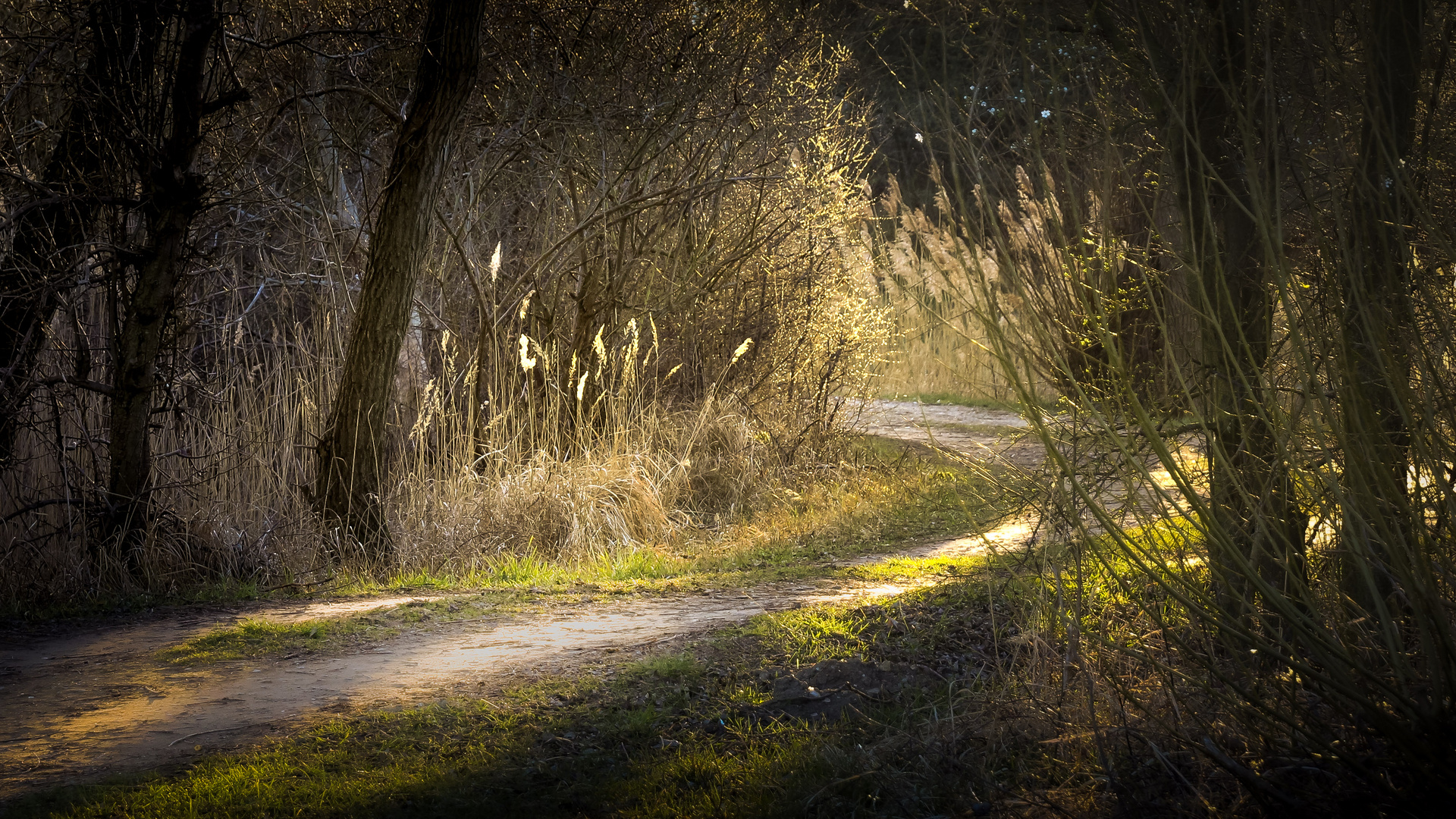 Der Weg ist das Ziel 