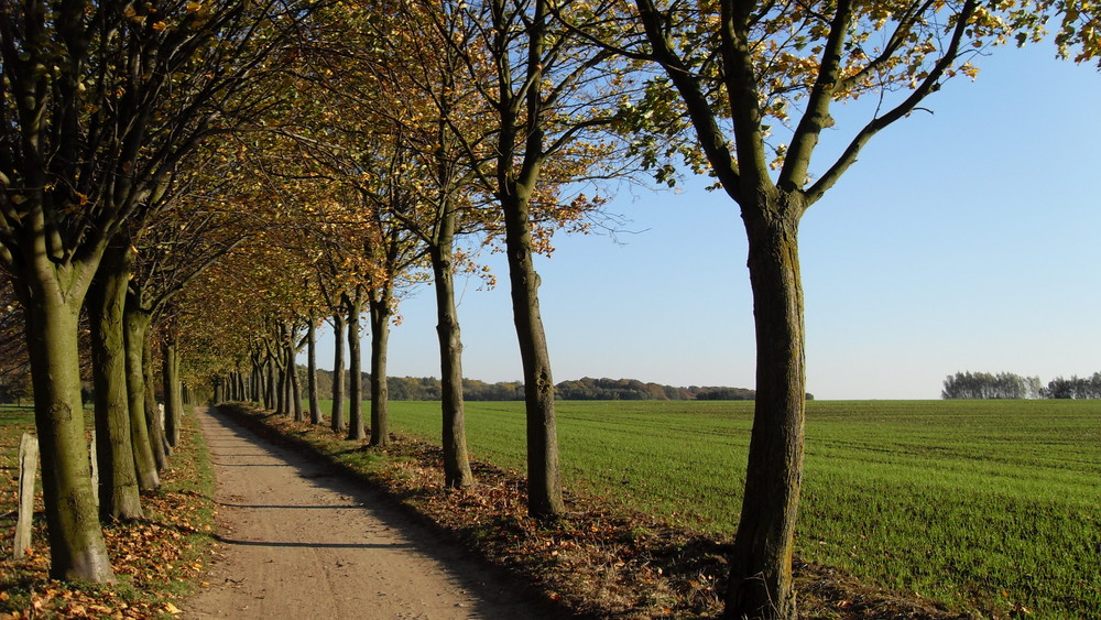 Der Weg ist das Ziel