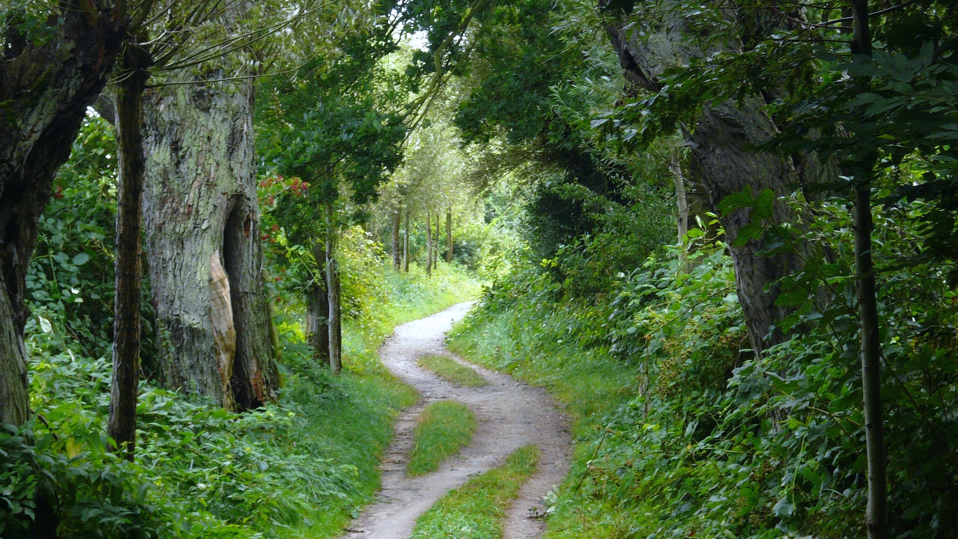 Der Weg ist das Ziel