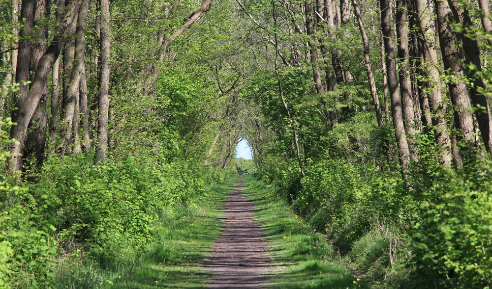 Der Weg ist das Ziel.....