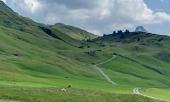 Der Weg ist das Ziel