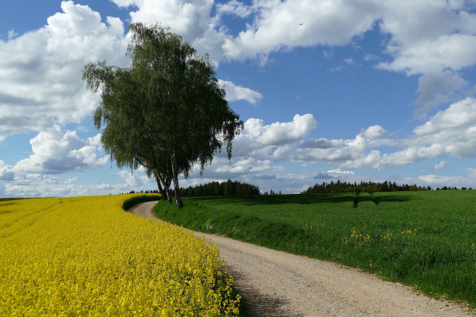 Der Weg ist das Ziel