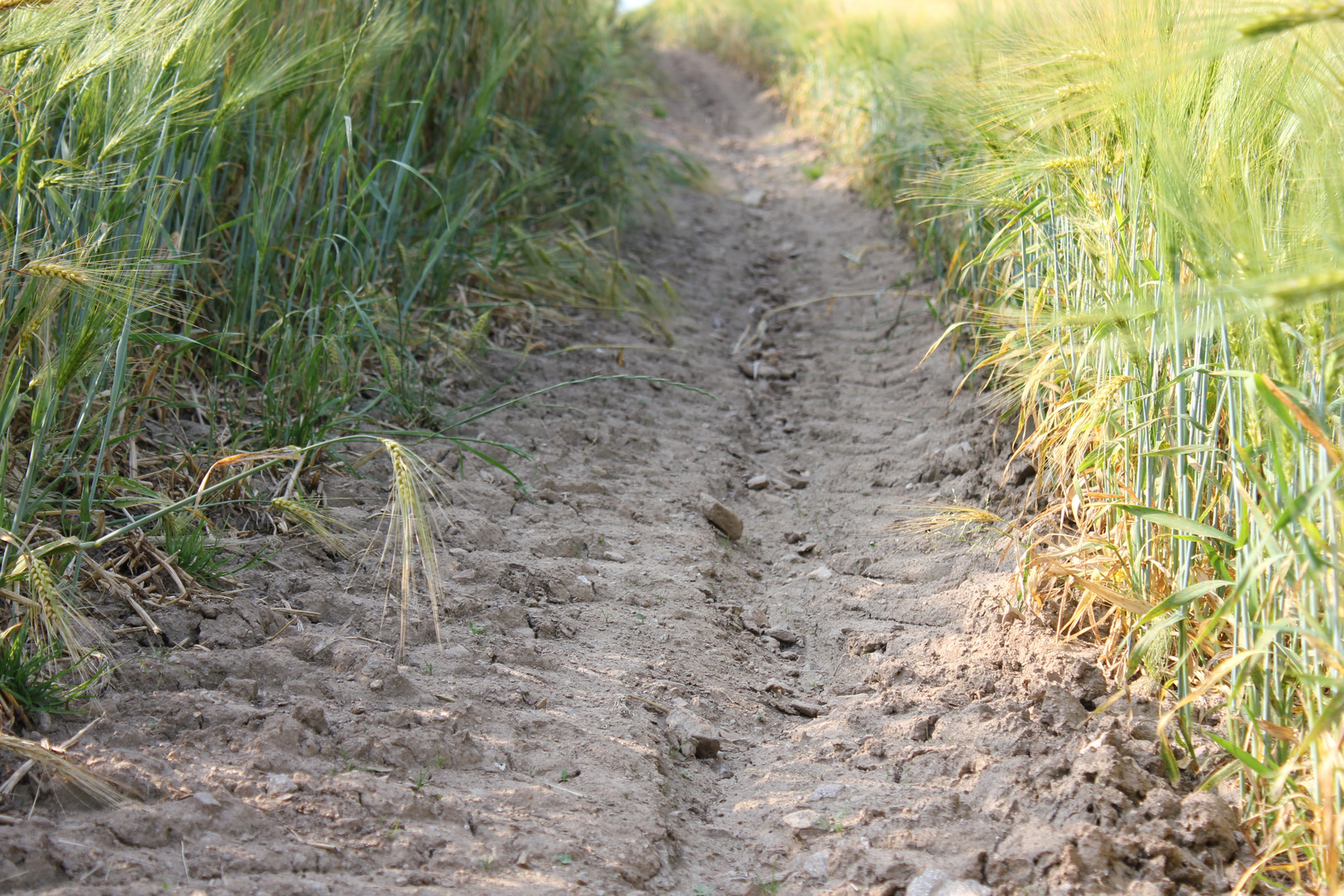 [Der Weg ist das Ziel]