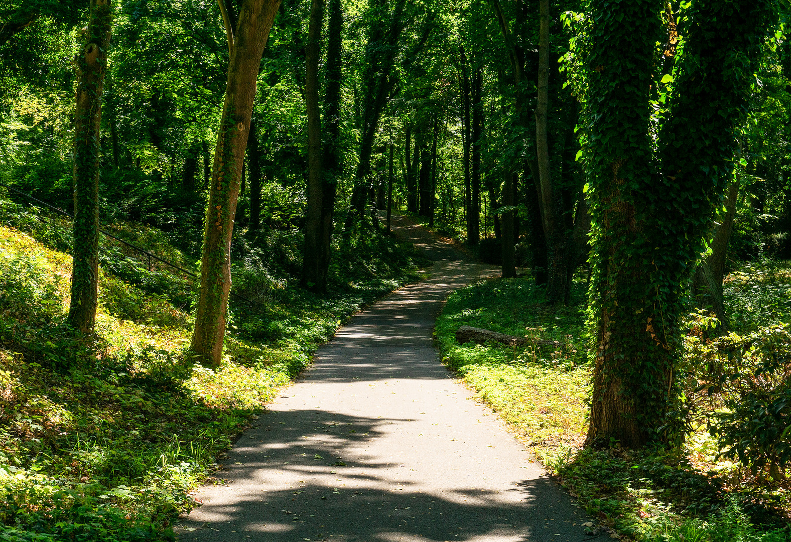 der Weg ist das Ziel