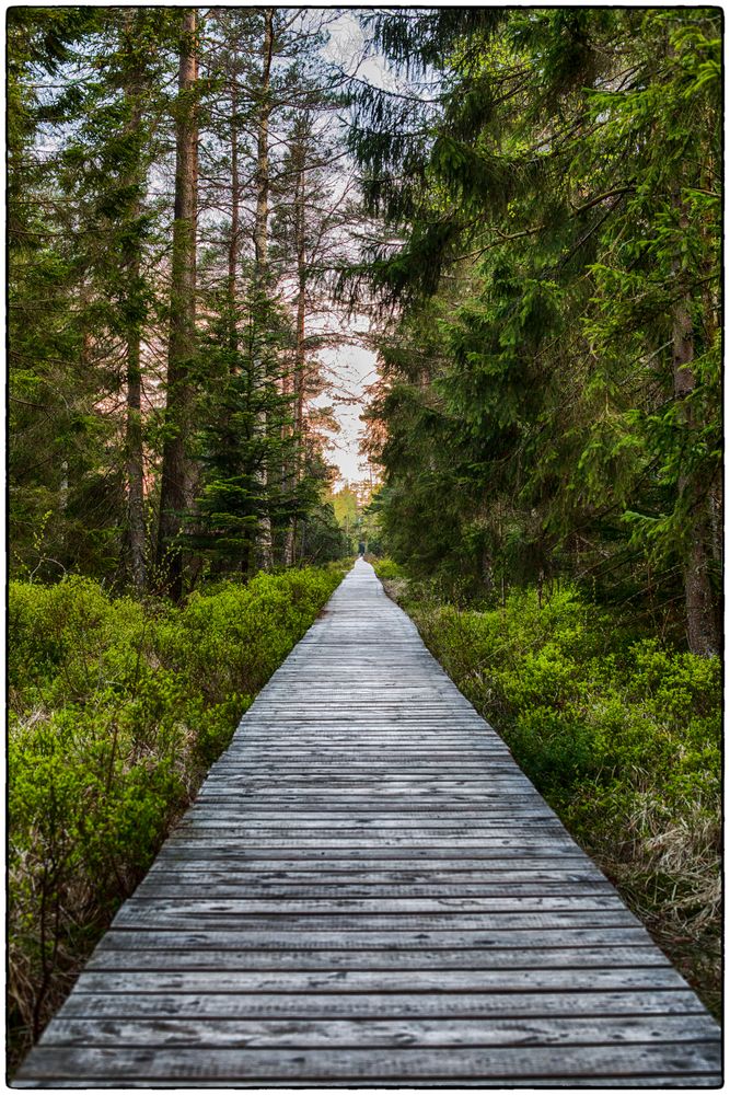 Der Weg ist das Ziel