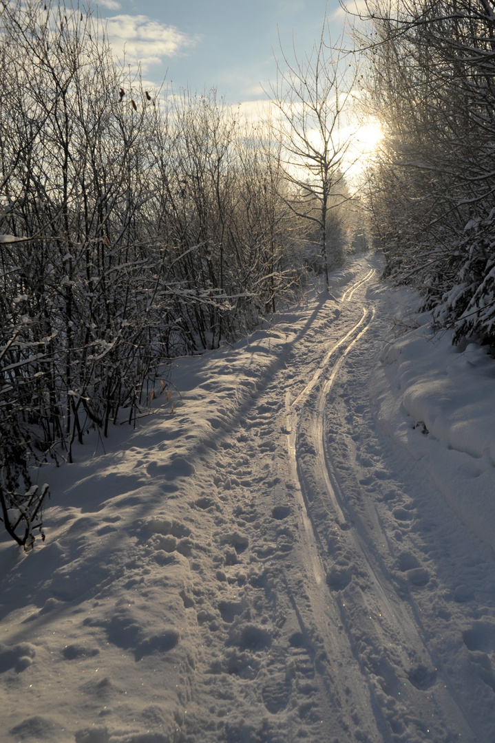 Der Weg ist das Ziel