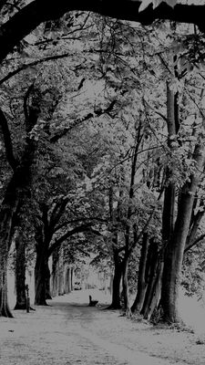 Der Weg ist das Ziel