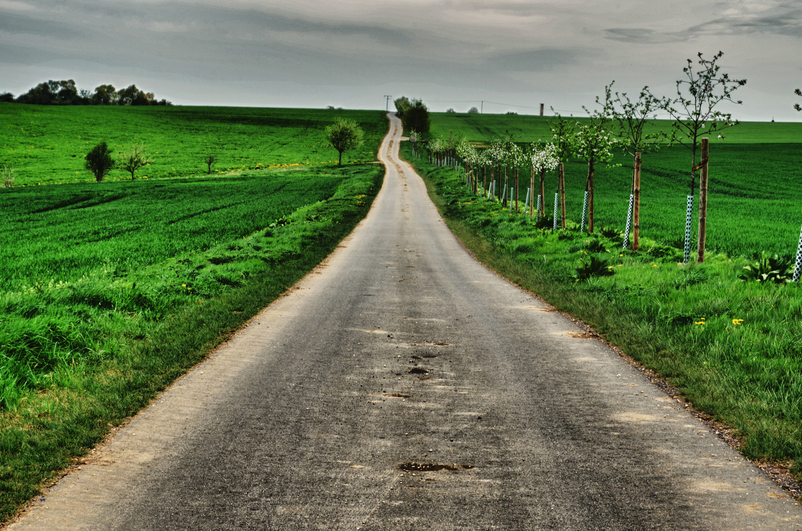 Der Weg ist das Ziel...