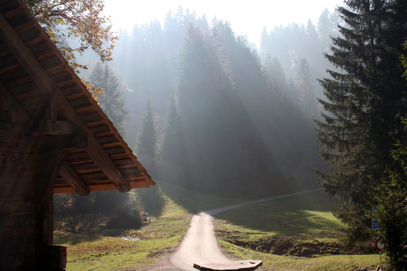 Der Weg ist das Ziel