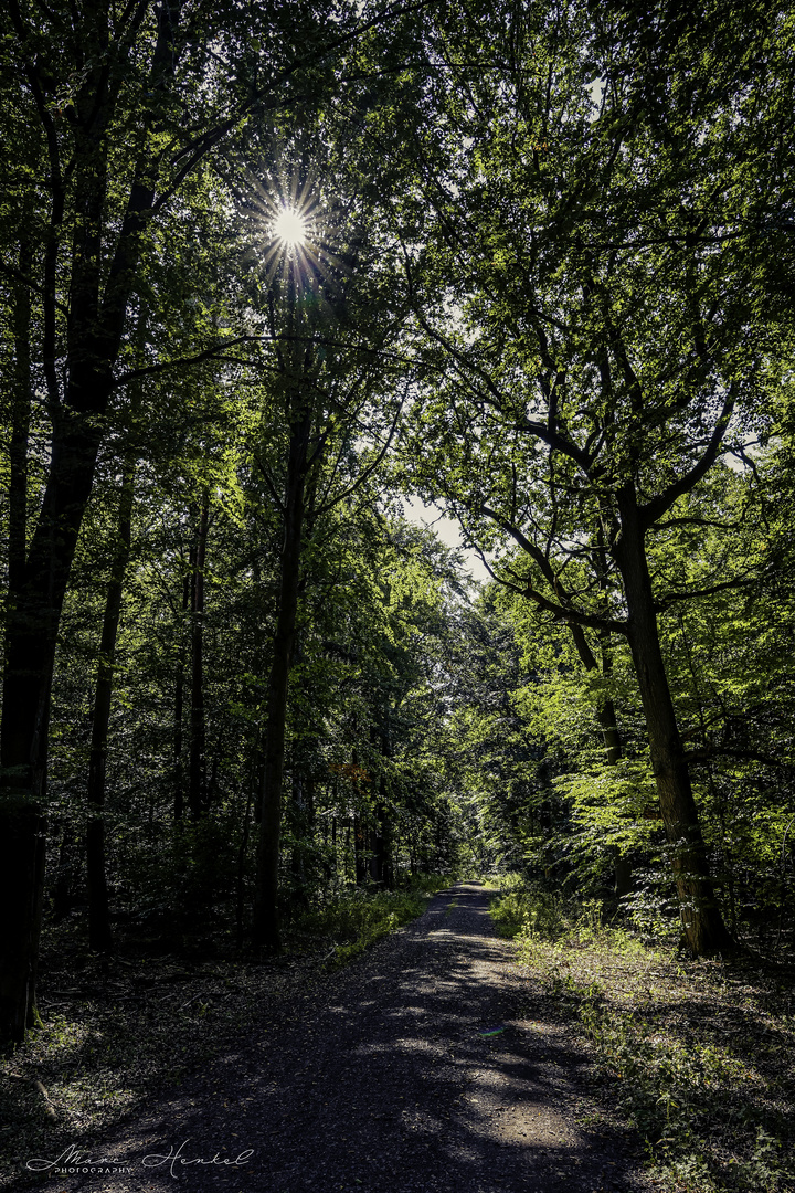 Der Weg ist das Ziel